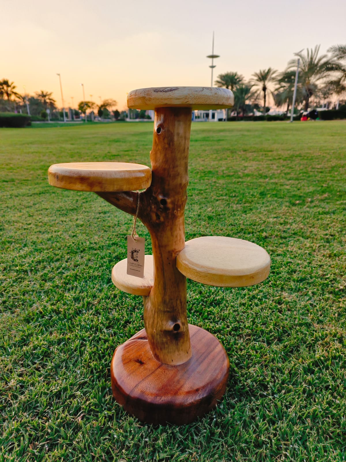 Natural Wood Flower holder: Handcrafted Acacia Eye-Catcher for Living Room or Garden