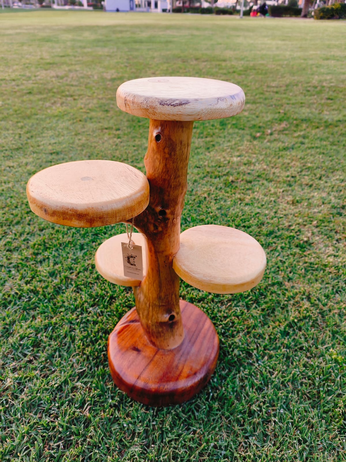 Natural Wood Flower holder: Handcrafted Acacia Eye-Catcher for Living Room or Garden