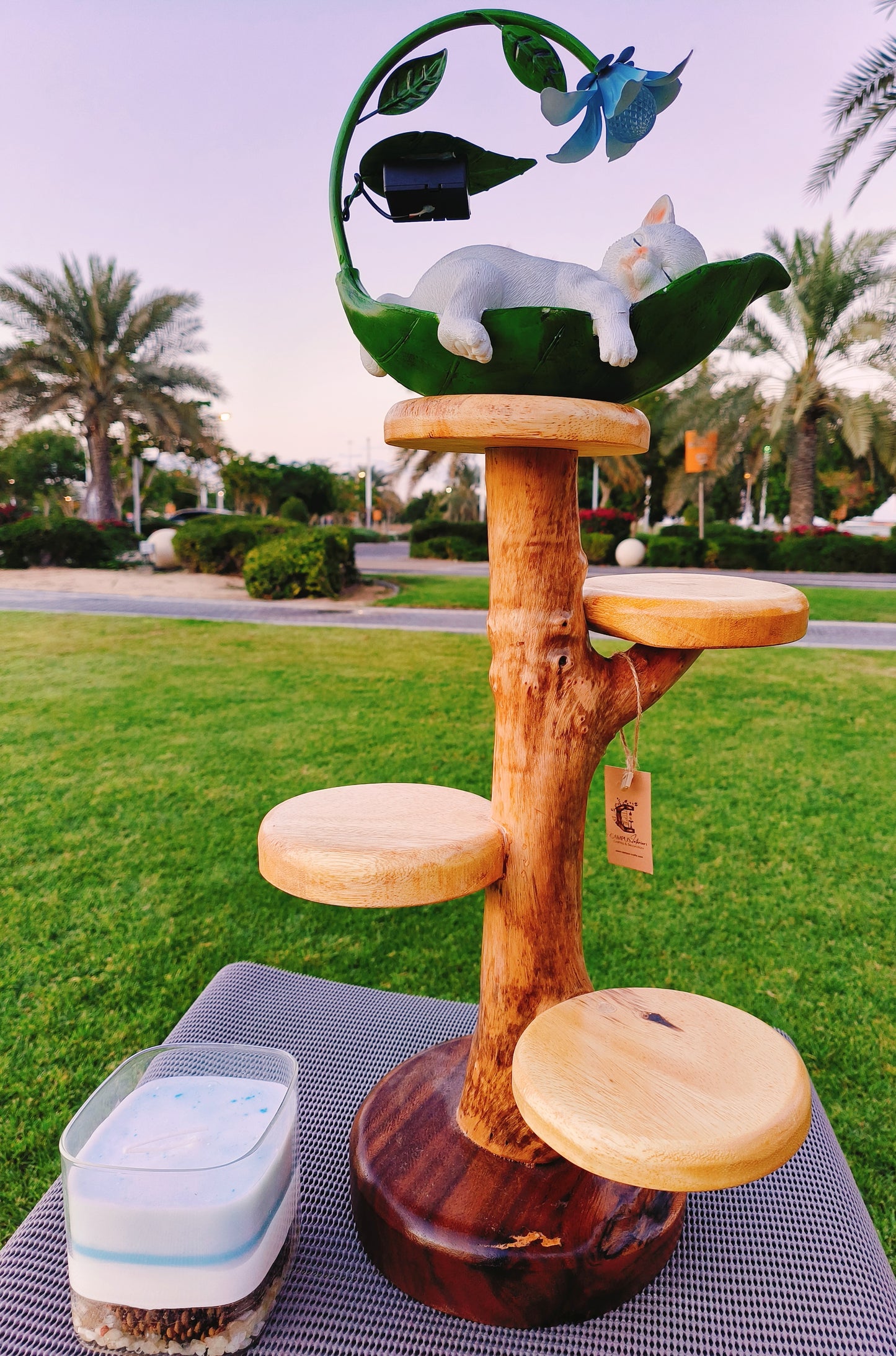 Natural Wood Flower holder: Handcrafted Acacia Eye-Catcher for Living Room or Garden