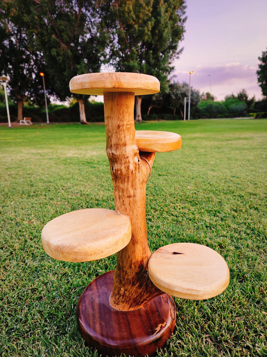 Natural Wood Flower holder: Handcrafted Acacia Eye-Catcher for Living Room or Garden