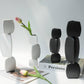 Sleek Ceramic Vase