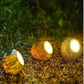 Solar Garden Lights, Illuminating Outdoor Night Lights for a Beautiful Garden Ambiance.