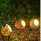 Solar Garden Lights, Illuminating Outdoor Night Lights for a Beautiful Garden Ambiance.